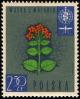 Colnect-1988-392-Flowers-of-the-Cinchona-succiruba.jpg
