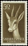 Colnect-1399-269-Dorcas-Gazelle-Gazella-dorcas.jpg