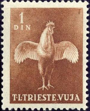 Colnect-1959-025-Chicken-Gallus-gallus-domesticus.jpg