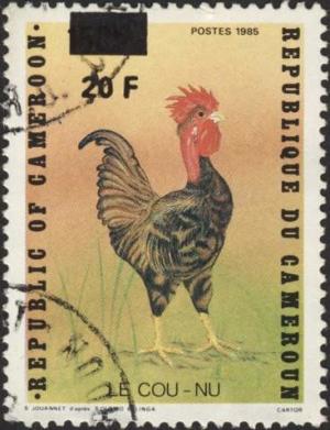 Colnect-2038-912-Rooster-Gallus-gallus-domesticus.jpg