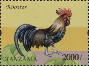 Colnect-3055-707-Rooster-Gallus-gallus-domesticus.jpg