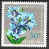 Colnect-2742-369-Stemless-gentian-Gentiana-kochiana.jpg