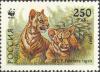 Colnect-2811-705-Siberian-Tiger-Panthera-tigris-altaica.jpg