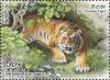 Colnect-7809-161-Siberian-tiger-Panthera-tigris-altaica.jpg
