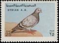 Colnect-1650-751-Iranian-Rock-Pigeon-Columba-livia-gaddi--nbsp-.jpg