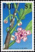 Colnect-3262-508-Degeneria-Roseiflora.jpg