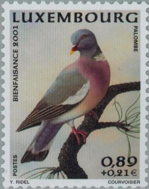 Colnect-135-179-Wood-Pigeon-Columba-palumbus.jpg