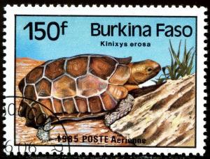 Colnect-1466-138-Forest-Hinged-Tortoise-Kinixys-erosa.jpg
