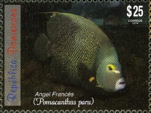 Colnect-3164-505-French-Angelfish-Pomacanthus-paru.jpg