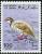 Colnect-1509-425-Arabian-Partridge-nbsp-Alectoris-melanocephala.jpg