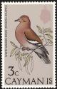 Colnect-1460-723-White-winged-Dove-Zenaida-asiatica.jpg