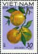 Colnect-5876-699-Oranges-Citrus-sinensis.jpg