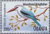 Colnect-1409-327-Woodland-Kingfisher-Halcyon-senegalensis.jpg