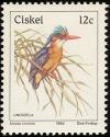 Colnect-1456-703-Malachite-Kingfisher-Corythornis-cristatus.jpg