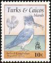 Colnect-1764-384-Belted-Kingfisher-Megaceryle-alcyon.jpg