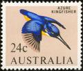 Colnect-604-075-Blue-Kingfisher-Alcyone-azurea.jpg