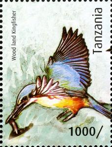 Colnect-2425-962-Woodland-Kingfisher-Halcyon-senegalensis.jpg