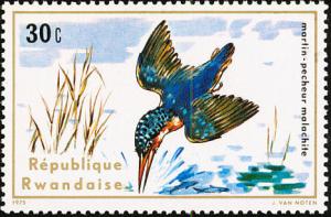 Colnect-1542-727-Malachite-Kingfisher-Corythornis-cristatus.jpg
