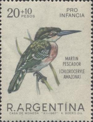 Colnect-1581-851-Amazonian-Kingfisher-Chloroceryle-amazona-.jpg