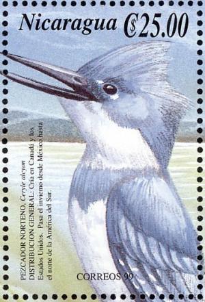 Colnect-3803-043-Belted-Kingfisher-Megaceryle-alcyon.jpg