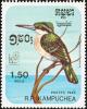 Colnect-1523-490-Amazonian-Kingfisher-Chloroceryle-amazona.jpg
