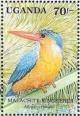 Colnect-1714-682-Malachite-Kingfisher-Corythornis-cristatus.jpg