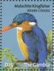 Colnect-1721-814-Malachite-Kingfisher-Corythornis-cristata.jpg