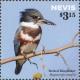 Colnect-4412-954-Belted-Kingfisher-Megaceryle-alcyon.jpg