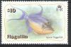Colnect-1584-442-Queen-Triggerfish-Balistes-vetula-.jpg