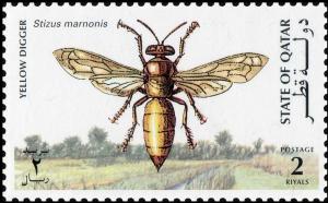 Colnect-4169-078-Yellow-Digger-Wasp-Stizus-marnonis.jpg