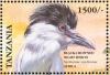 Colnect-3746-363-Black-crowned-Night-Heron-Nycticorax-nycticorax.jpg