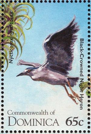 Colnect-1748-090-Black-crowned-Night-heron%C2%A0Nycticorax-nycticorax.jpg