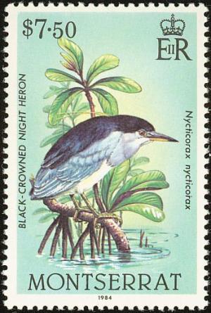 Colnect-1785-073-Black-crowned-Night-heron%C2%A0Nycticorax-nycticorax.jpg