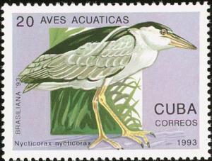 Colnect-2080-409-Black-crowned-Night-heron%C2%A0Nycticorax-nycticorax.jpg