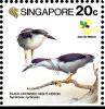Colnect-1623-918-Black-crowned-Night-Heron-Nycticorax-nycticorax.jpg