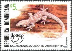 Colnect-1610-660-Hispaniolan-Giant-Gecko-Aristelliger-lar.jpg