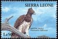 Colnect-1617-971-Martial-Eagle-Polemaetus-bellicosus.jpg