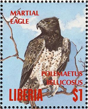 Colnect-1641-780-Martial-Eagle-Polema%C3%ABtus-bellicosus.jpg