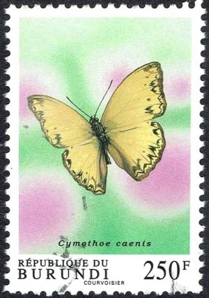 Colnect-3348-729-Common-Glider-Cymothoe-caenis.jpg