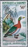 Colnect-1854-487-African-Pygmy-Goose-Nettapus-auritus.jpg