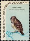 Colnect-3837-349-Cuban-Pygmy-Owl-Glaucidium-siju.jpg