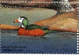 Colnect-2221-032-African-Pygmy-Goose-Nettapus-auritus.jpg