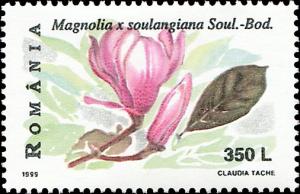 Colnect-4582-953-Magnolia-soulangiana.jpg