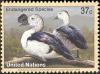 Colnect-2571-495-Knob-billed-Goose-Sarkidiornis-melanotos.jpg