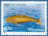 Colnect-557-715-Dugong-Dugong-dugon.jpg