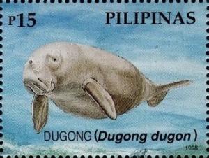Colnect-2906-826-Dugong-Dugong-dugon.jpg