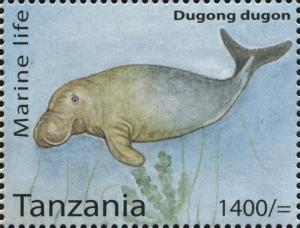 Colnect-3055-694-Dugong-Dugong-dugon.jpg
