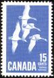 Colnect-1248-041-Canada-Goose-Branta-canadensis.jpg