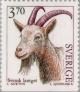Colnect-164-839-Allmogeget-Goat-Capra-aegagrus-hircus.jpg