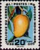 Colnect-1990-852-Mango-Mangifera-indica.jpg